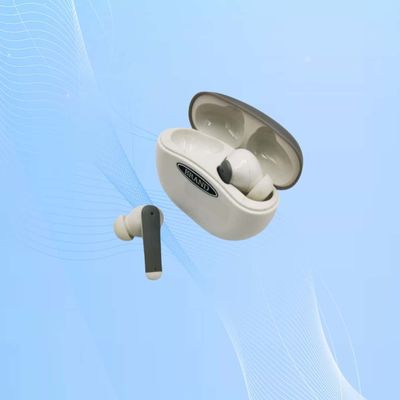 کمک های شنوایی دیجیتال شارژ پذیر با لغو نویز خودکار